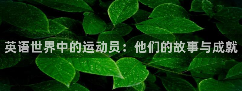捷豹足球：英语世界中的运动员：他们的故事与成就