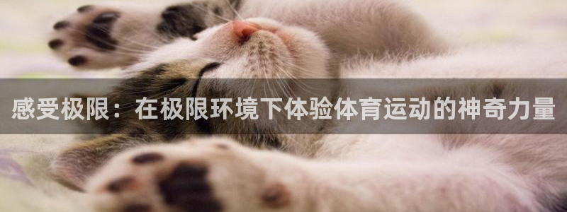 捷豹足球推荐：感受极限：在极限环境下体验体育运动的神奇力量