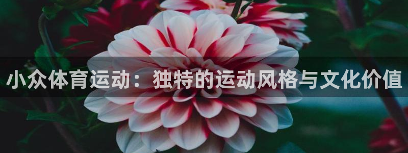 捷豹足球鞋：小众体育运动：独特的运动风格与文化价值