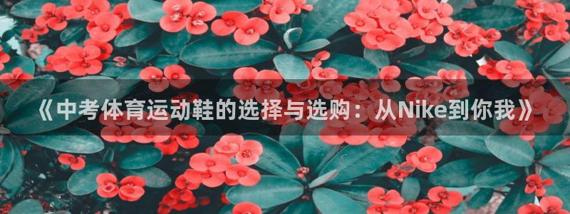 捷豹足球推荐：《中考体育运动鞋的选择与选购：从Nike到你我》